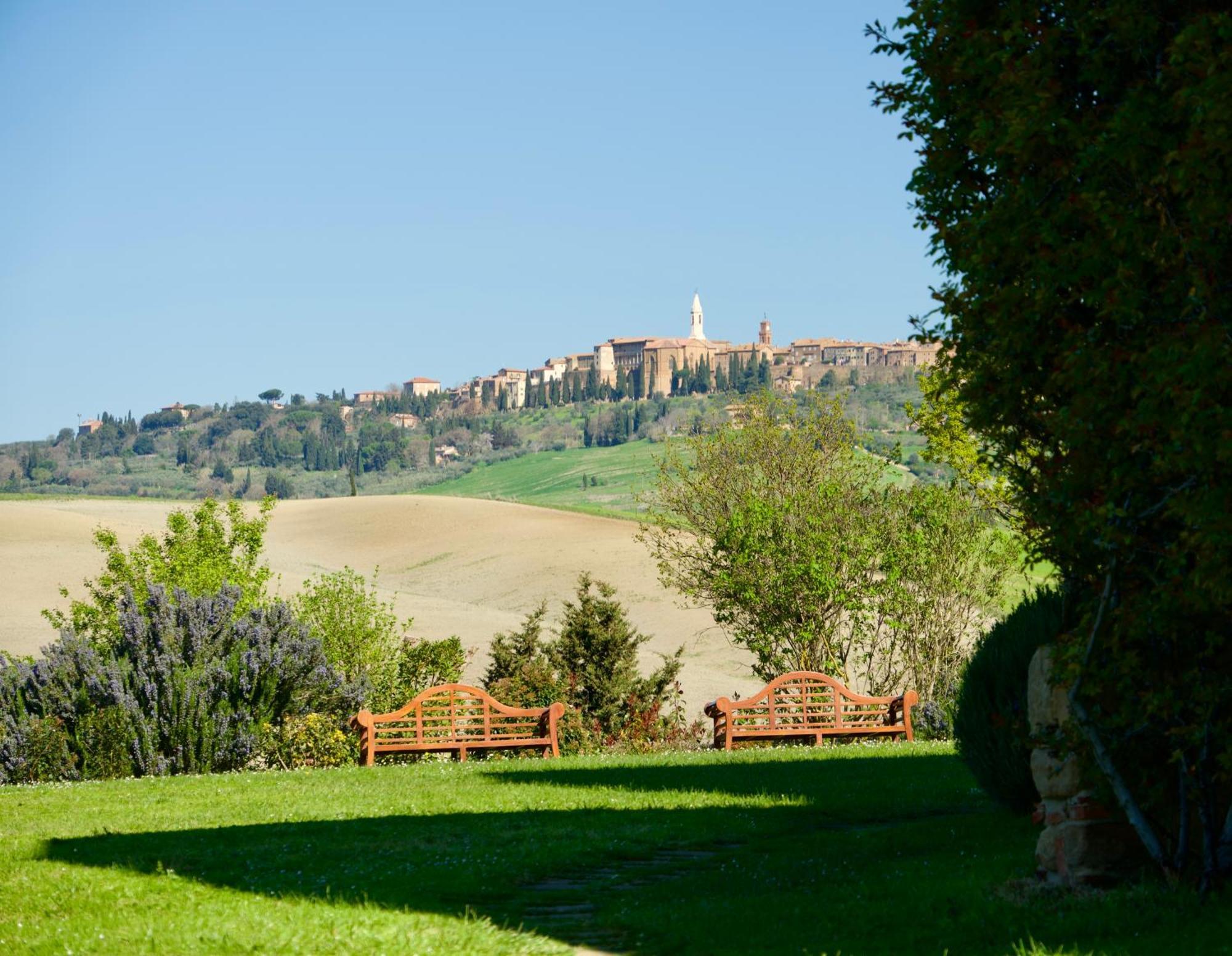 L'olmo Monticchiello