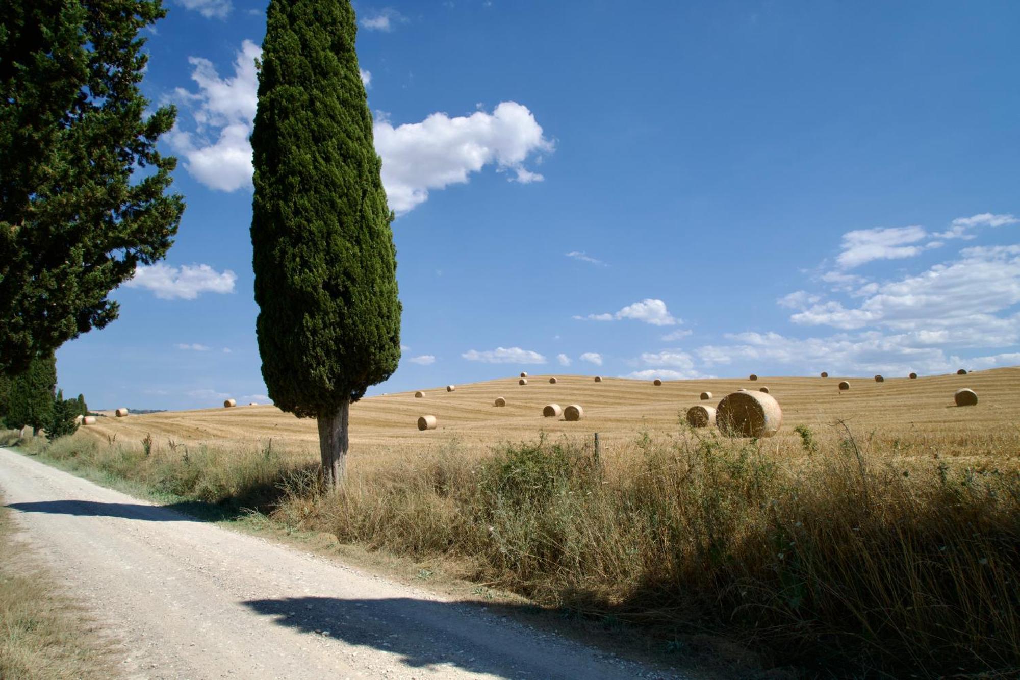 Bed & Breakfast L'olmo