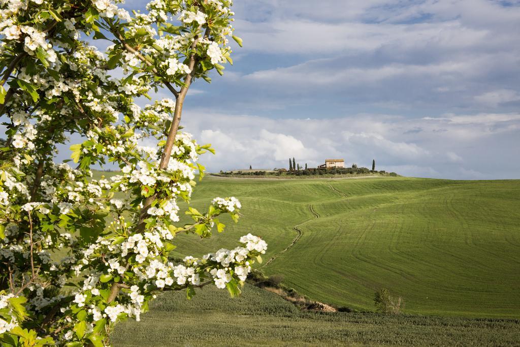 Bed & Breakfast L'olmo 5*